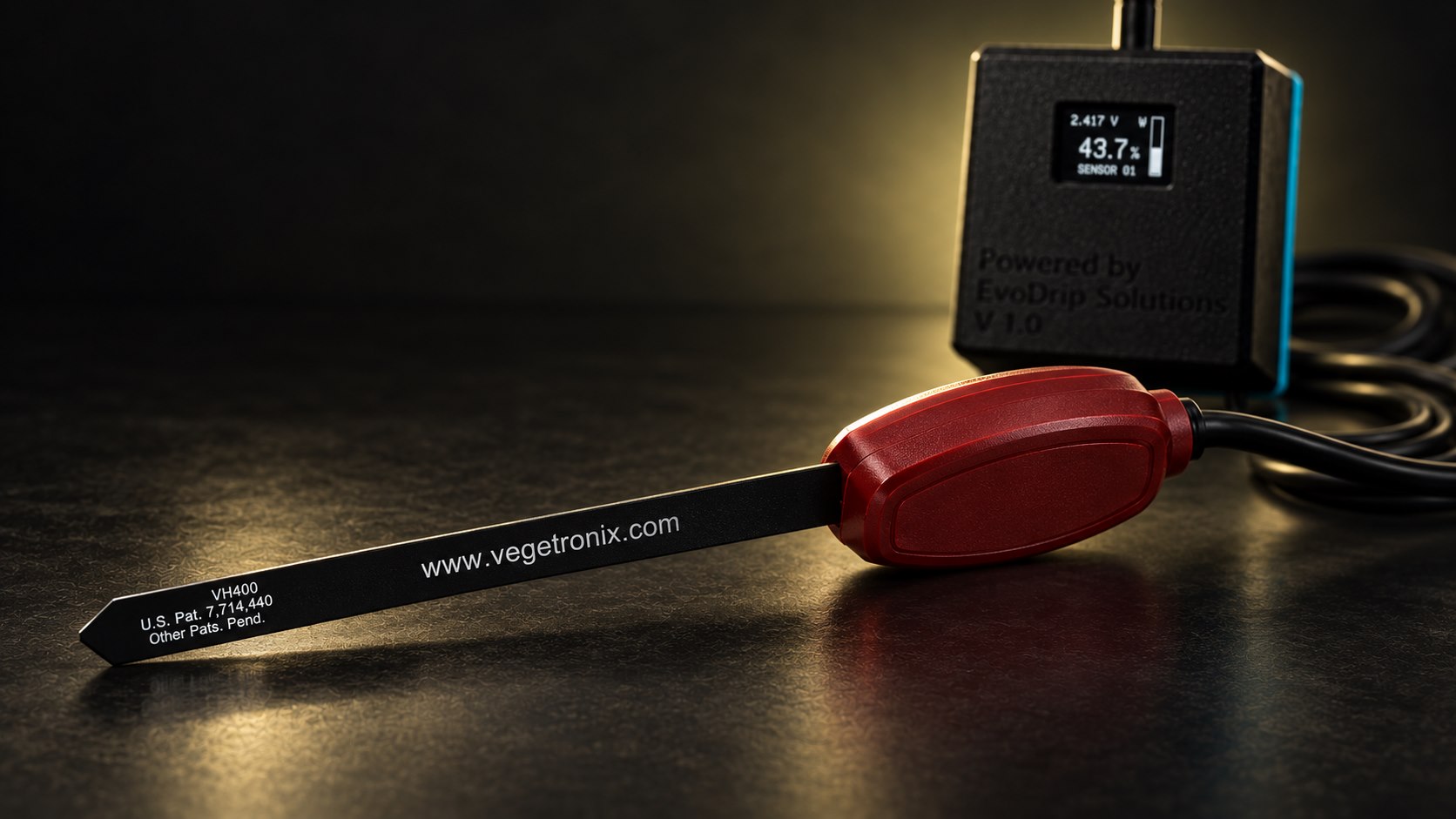 Visualisierte Detailansicht der flachen Vegetronix VH400-Substratsonde